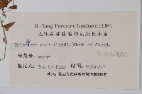 鷗蔓藏品圖，第2張