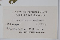 八角楓藏品圖，第2張