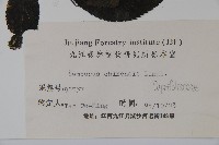 冇骨消藏品圖，第2張