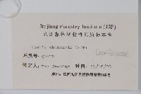 臺灣糯米條藏品圖，第2張