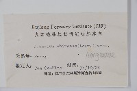 八角楓藏品圖，第2張