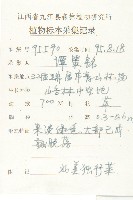 獨行菜藏品圖，第2張