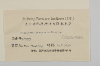 厚葉衛矛, 源一木藏品圖，第3張