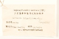 雞兒腸藏品圖，第3張