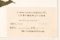 華澤蘭藏品圖，第3張