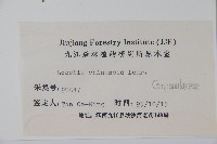 半邊蓮、鐮磨仔草藏品圖，第2張