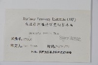 梓樹藏品圖，第2張