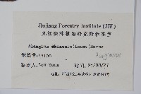 八角楓藏品圖，第2張