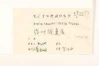 線葉旋覆花藏品圖，第3張