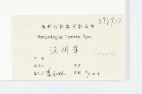 泥胡菜藏品圖，第3張