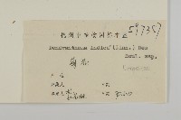 油菊、野菊藏品圖，第3張