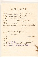 苦滇菜、苦菜藏品圖，第2張