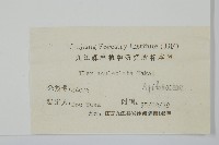 鼠李冬青、滿樹星藏品圖，第2張