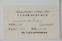 柳葉腊梅藏品圖，第2張