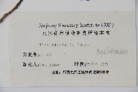 登錄號:S024462藏品圖，第2張