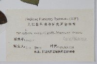 鷗蔓藏品圖，第2張