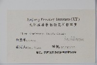 藤胡頹子藏品圖，第2張