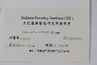 安徽小蘗藏品圖，第2張