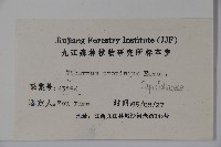 高山莢迷藏品圖，第2張