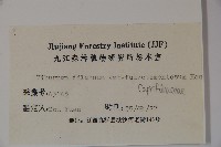 廬山莢迷藏品圖，第2張