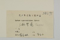 山白蘭藏品圖，第3張