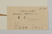 瞿麥藏品圖，第3張