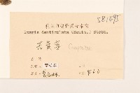 苦實菜藏品圖，第3張