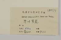 琴葉紫菀藏品圖，第3張