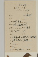 山白蘭藏品圖，第2張