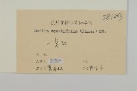 紫背草藏品圖，第3張