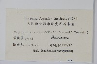 雷公鵝耳櫪藏品圖，第2張