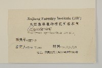 大果衛矛藏品圖，第3張