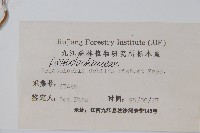 馬兜鈴藏品圖，第2張