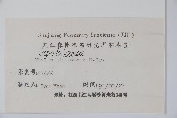 臺灣糯米條藏品圖，第2張