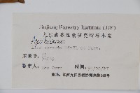 枸骨藏品圖，第2張