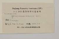 永瓣藤藏品圖，第3張