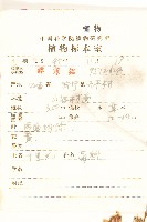 蔓黃菀藏品圖，第2張