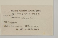 魁蒿藏品圖，第3張