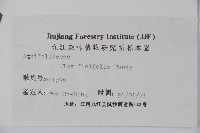 登錄號:S024779藏品圖，第2張