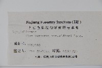 冬青藏品圖，第2張