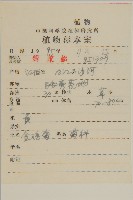 金雞菊藏品圖，第2張