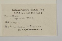 藜、灰藜藏品圖，第3張
