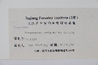 東方野扇花藏品圖，第2張