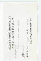 小葉胡頹子藏品圖，第3張