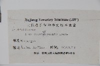 四川冬青藏品圖，第2張