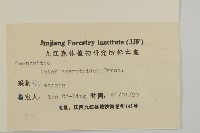 山白蘭藏品圖，第3張