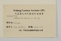 牡蒿藏品圖，第3張