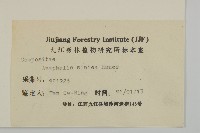 香青藏品圖，第3張