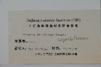 莢迷藏品圖，第2張