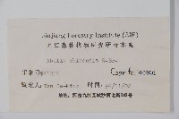 臺灣糯米條藏品圖，第2張